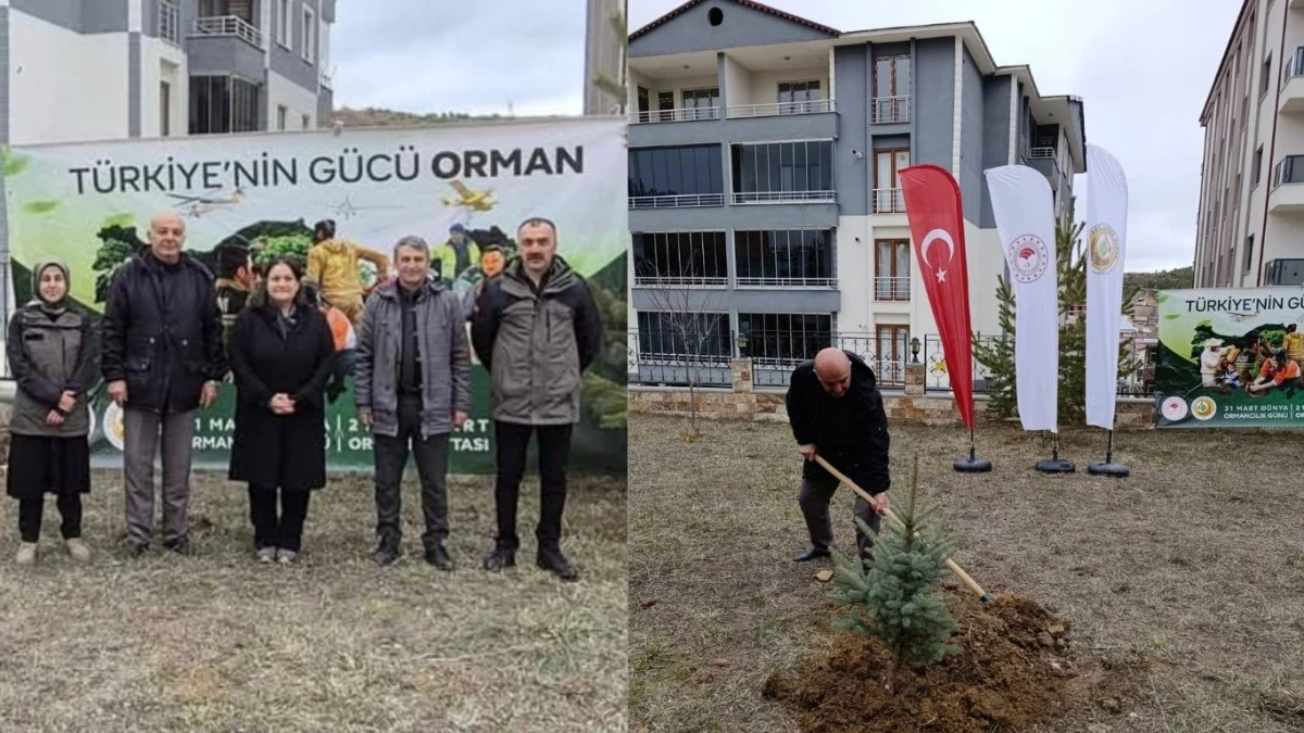 Şiran&rsquo;da Ormancılar Haftası Coşkusu: Geleceğe Nefes Olan Fidanlar Toprakla Buluştu